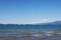 Montanas-Flathead-Lake0331