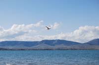 Montanas-Flathead-Lake0340