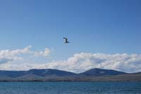Montanas-Flathead-Lake0341