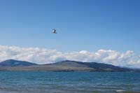 Montanas-Flathead-Lake0344