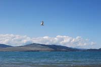 Montanas-Flathead-Lake0345