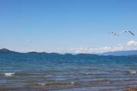 Montanas-Flathead-Lake0351