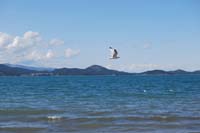 Montanas-Flathead-Lake0365