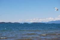 Montanas-Flathead-Lake0368
