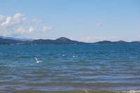 Montanas-Flathead-Lake0375