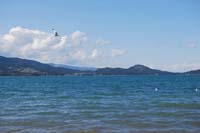 Montanas-Flathead-Lake0384