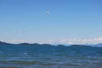 Montanas-Flathead-Lake0386