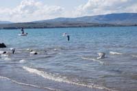 Montanas-Flathead-Lake0394