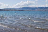 Montanas-Flathead-Lake0395