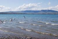 Montanas-Flathead-Lake0396