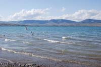 Montanas-Flathead-Lake0398