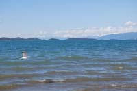 Montanas-Flathead-Lake0421