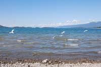 Montanas-Flathead-Lake0430