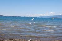 Montanas-Flathead-Lake0431