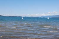 Montanas-Flathead-Lake0432