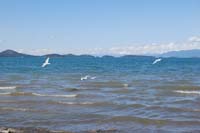 Montanas-Flathead-Lake0433