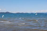 Montanas-Flathead-Lake0434