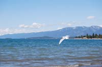 Montanas-Flathead-Lake0440
