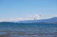 Montanas-Flathead-Lake0441