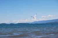 Montanas-Flathead-Lake0442