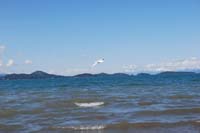 Montanas-Flathead-Lake0444
