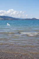 Montanas-Flathead-Lake0450