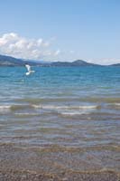 Montanas-Flathead-Lake0451