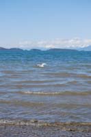 Montanas-Flathead-Lake0459