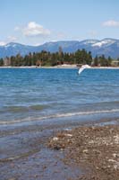Montanas-Flathead-Lake0465