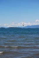 Montanas-Flathead-Lake0470
