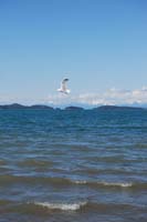 Montanas-Flathead-Lake0471