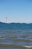 Montanas-Flathead-Lake0472