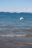 Montanas-Flathead-Lake0476