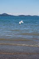 Montanas-Flathead-Lake0477