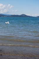 Montanas-Flathead-Lake0478