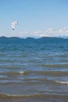 Montanas-Flathead-Lake0479