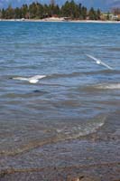 Montanas-Flathead-Lake0480