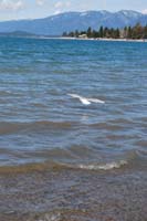 Montanas-Flathead-Lake0482