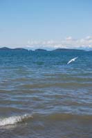 Montanas-Flathead-Lake0486