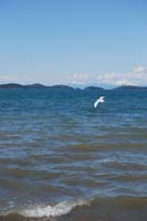 Montanas-Flathead-Lake0487