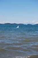 Montanas-Flathead-Lake0488