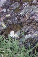 Montanas-Flathead-Lake0519