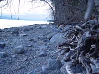 Montanas-Flathead-Lake0550