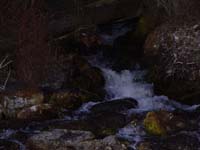 Montanas-Flathead-Lake0552