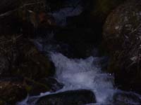 Montanas-Flathead-Lake0553