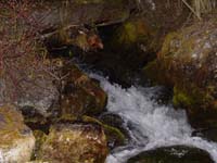 Montanas-Flathead-Lake0556