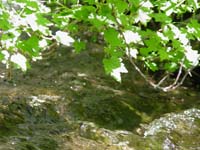 Montanas-Flathead-Lake0581