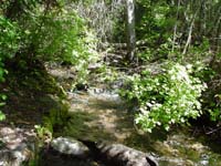 Montanas-Flathead-Lake0582