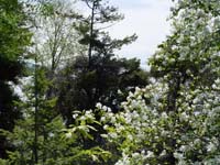 Montanas-Flathead-Lake0588