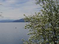 Montanas-Flathead-Lake0589
